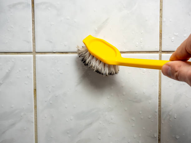 Best Black Mold Removal  in North Fort Lewis, WA