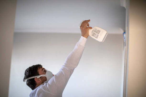 Best Mold Removal Company Near Me  in North Fort Lewis, WA