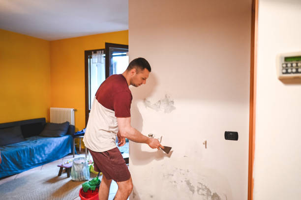 Best Crawl Space Mold Removal  in North Fort Lewis, WA