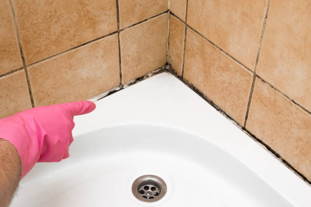 Best Mold Testing  in North Fort Lewis, WA